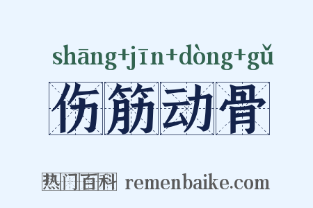 伤筋动骨是什么意思的图片